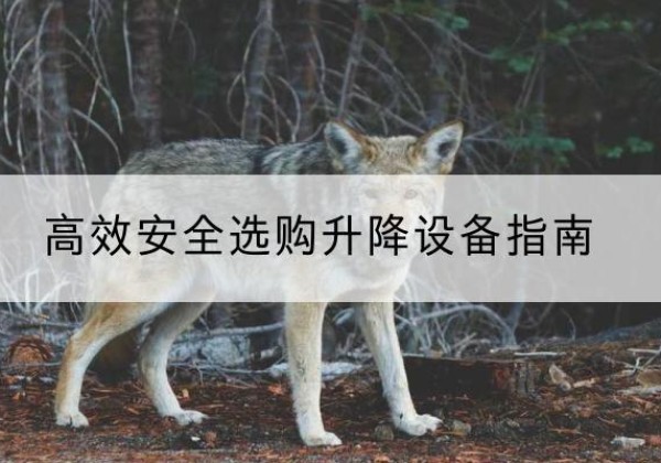 宝安升降货梯厂家推荐-*安全选购升降设备指南