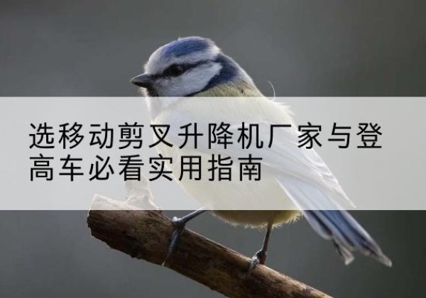 宝安电动升降机厂家-选移动剪叉升降机厂家与登高车必看实用指南