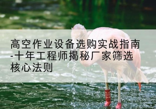宝安剪叉式升降机厂家-高空作业设备选购实战指南-十年工程师揭秘厂家筛选核心法则